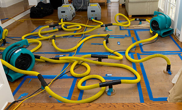 Professional Burst Pipe Water Damage technician working in Grand Rapids, OH